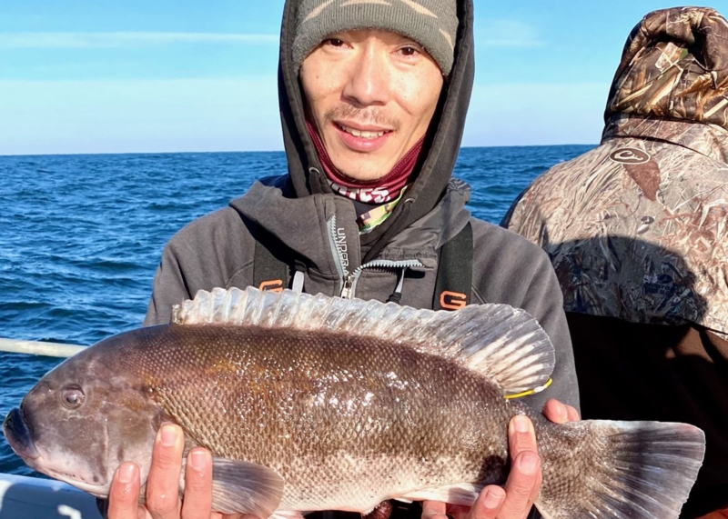 big tautog