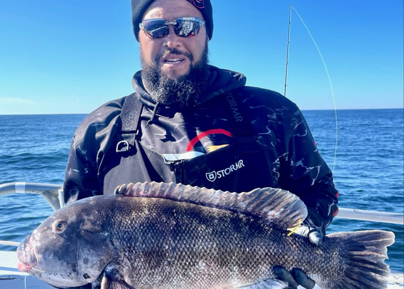 morning star tautog