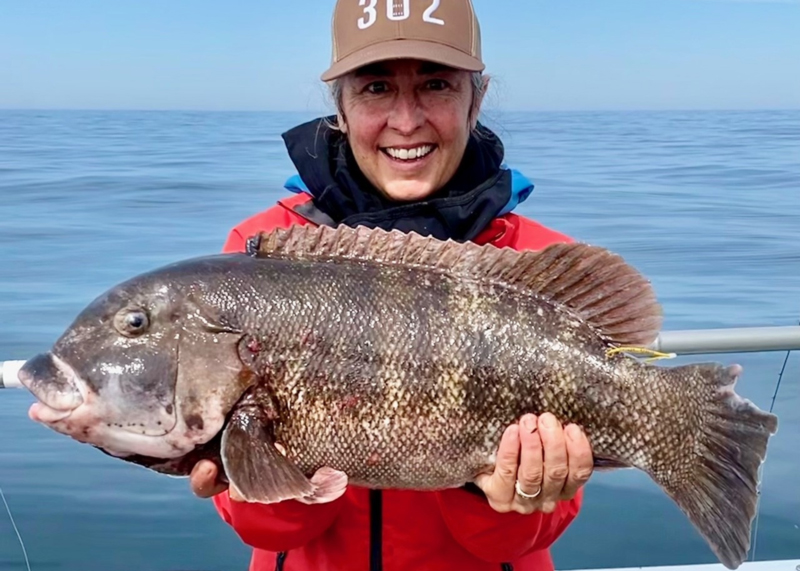 tautog on the morning star