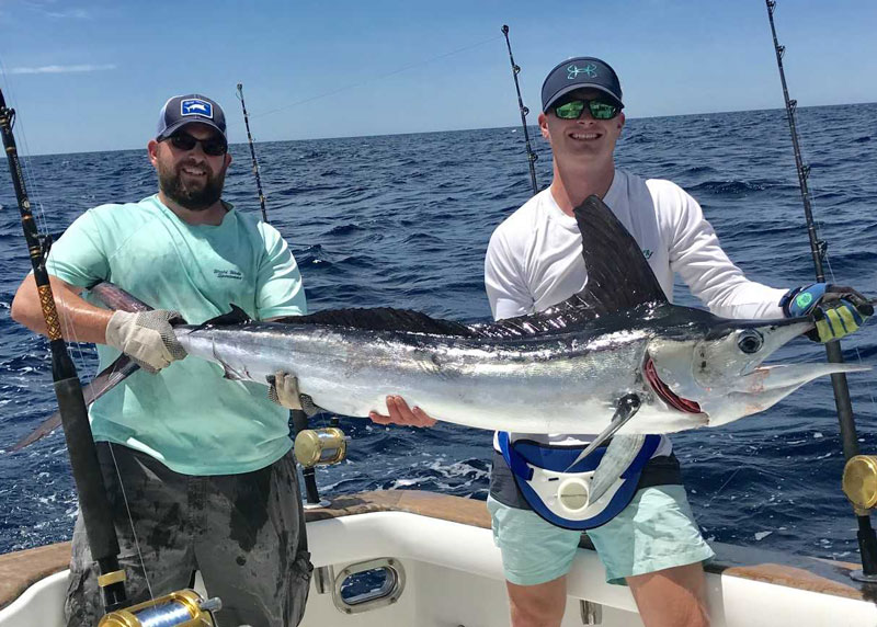 white marlin caught on a boat
