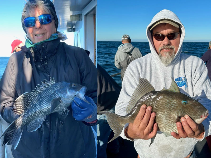 fall fishing along the coast