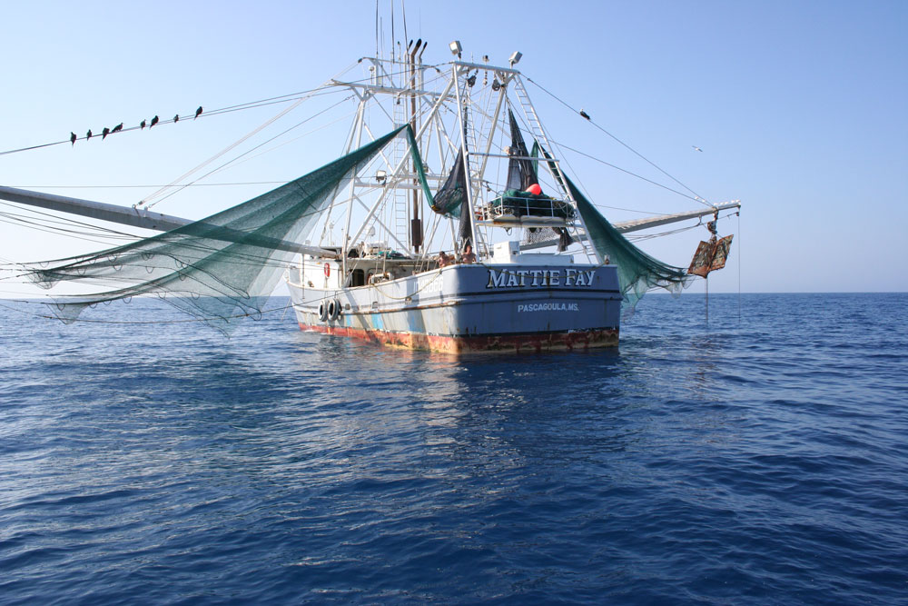 commercial fishing boat