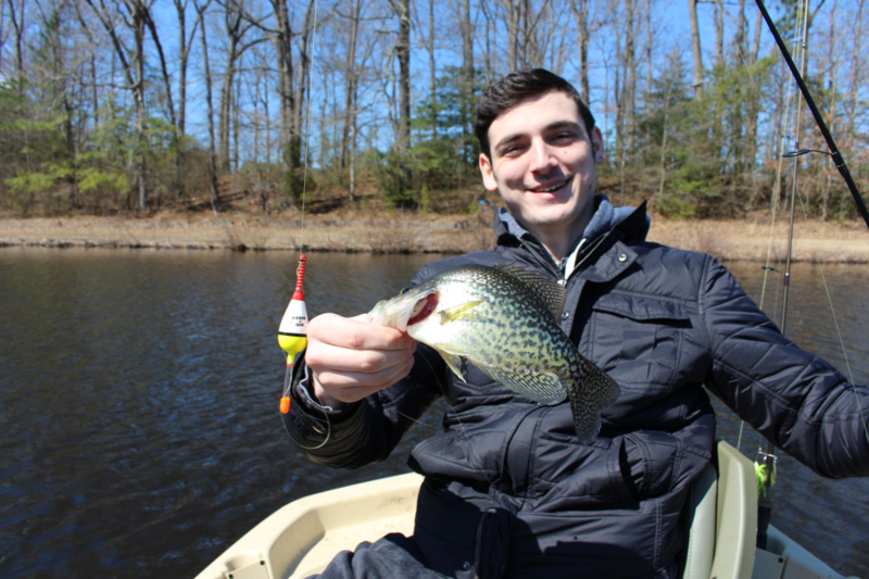 crappie in a millpond