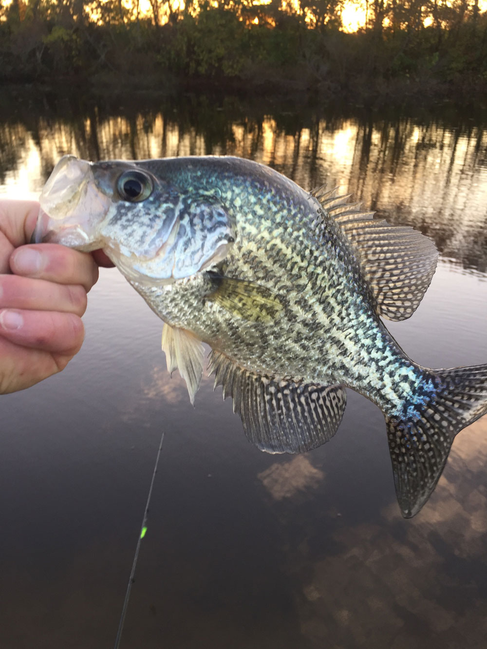 fishing for crappie