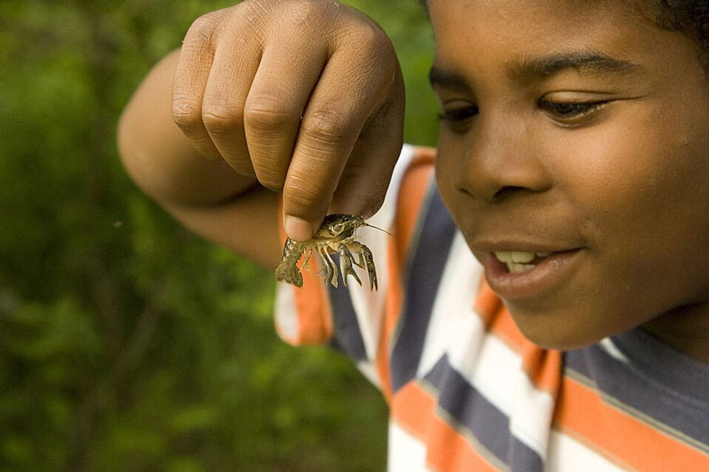 kid holding a crayfish