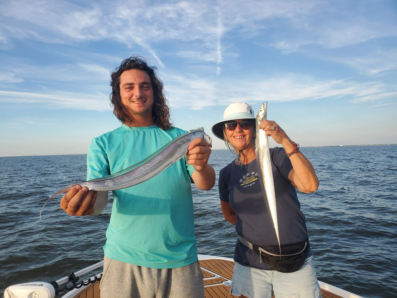 cutlassfish also called ribbonfish or hairtail