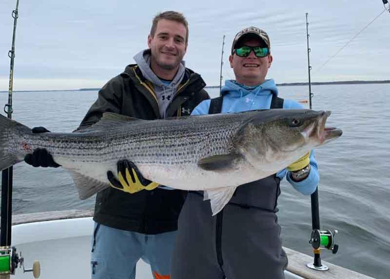 monster rockfish