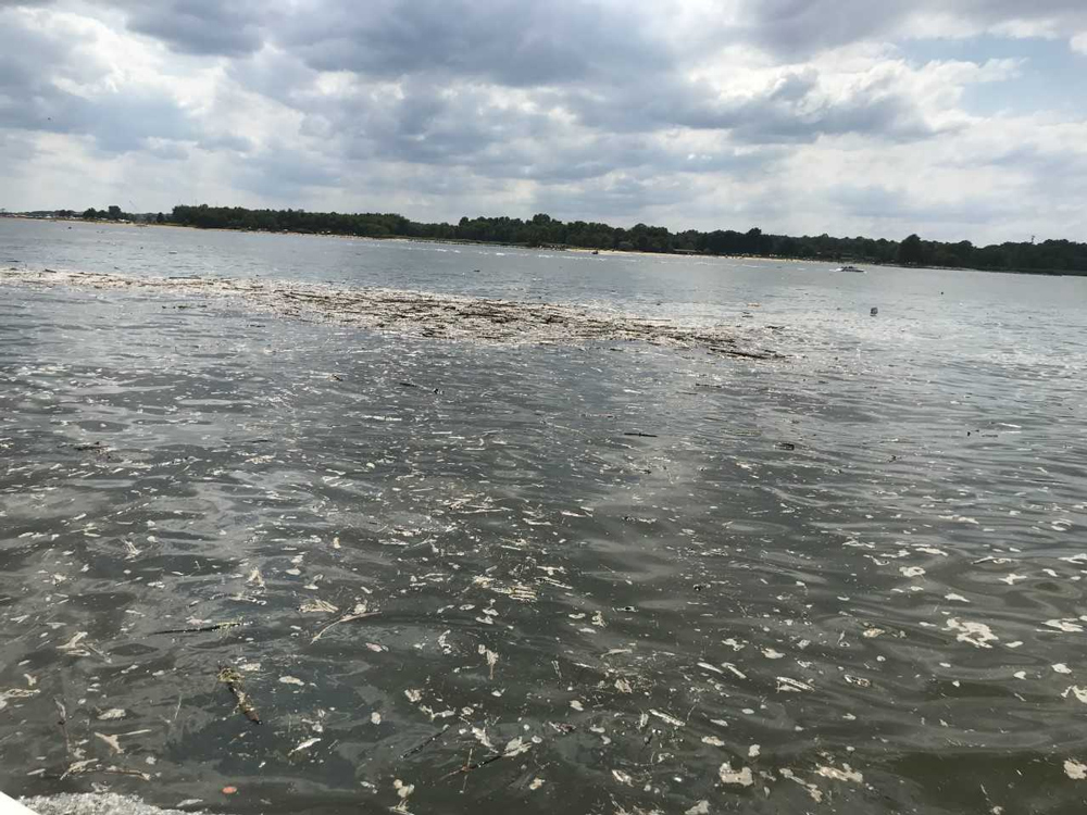 floating debris in chesapeake after storm