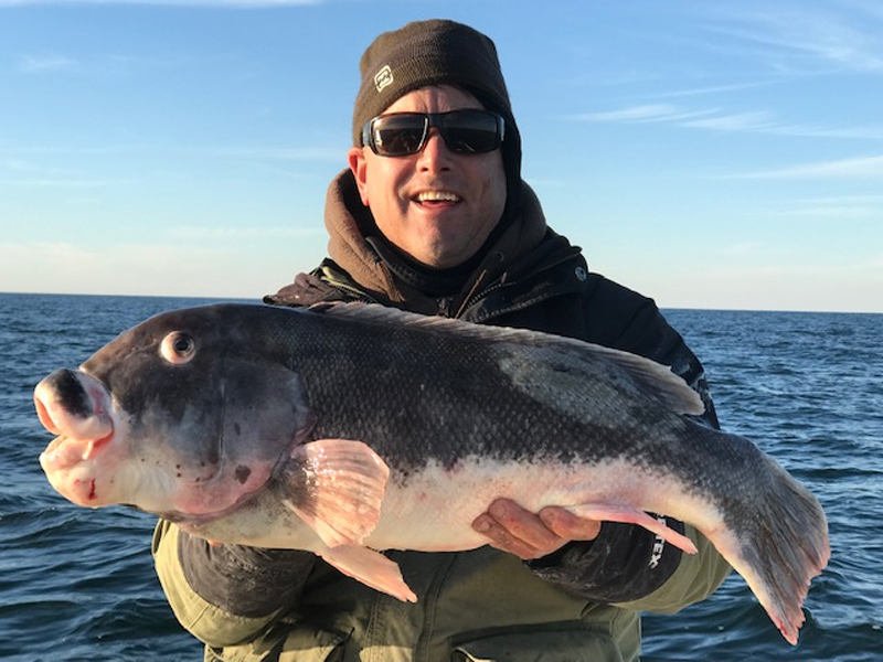 tautog caught in delaware