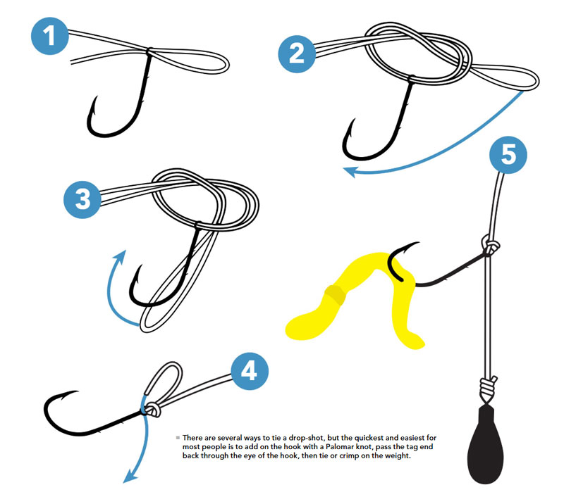 how to make a drop shot rig
