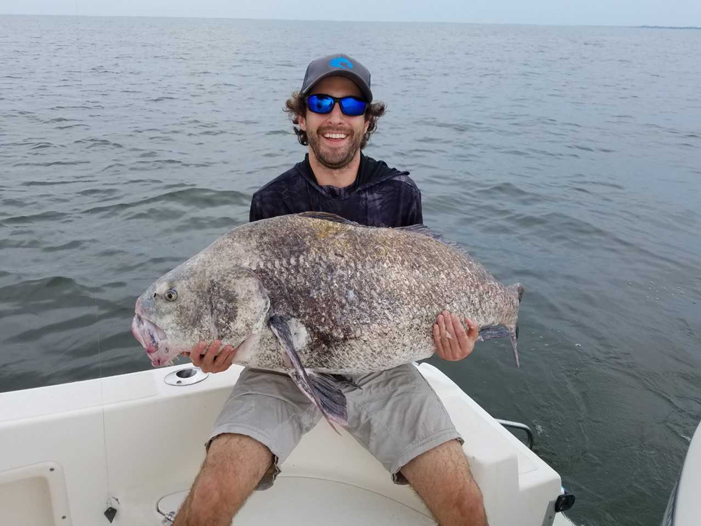 black drum