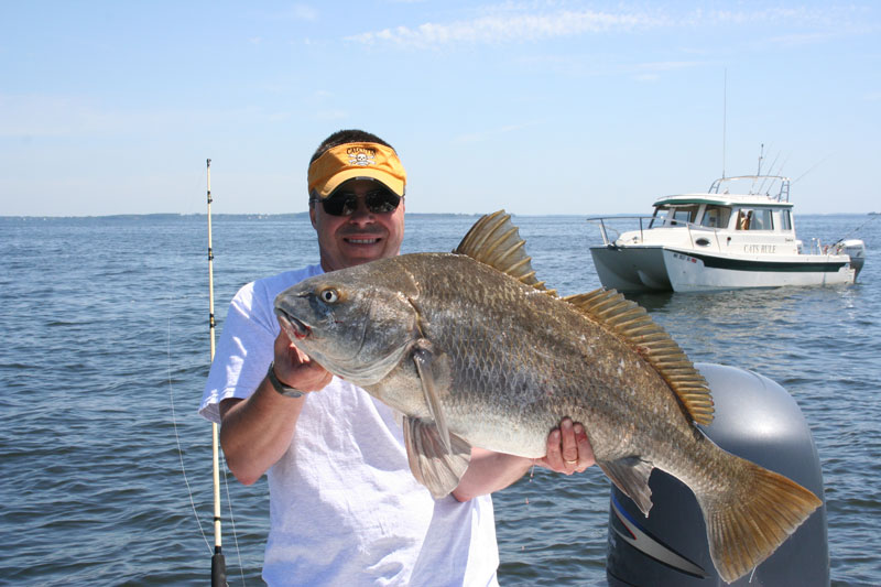 fishing for black drum