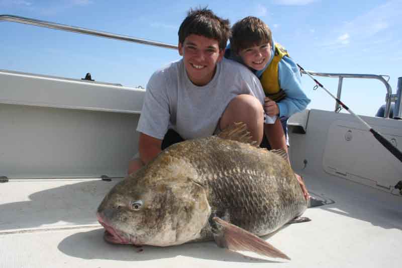 big black drum