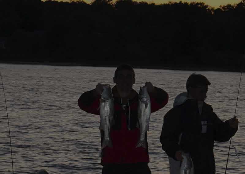 stripers at dusk