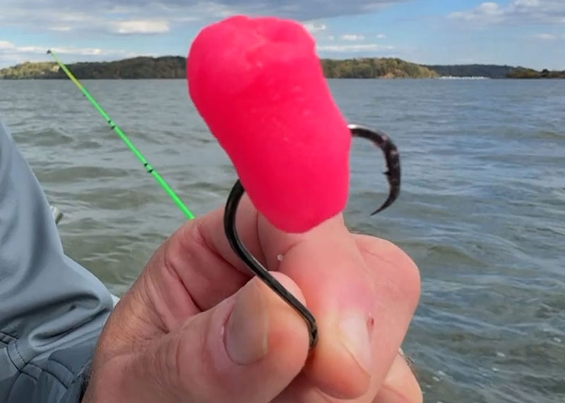 a piece of fishbites catfish bait