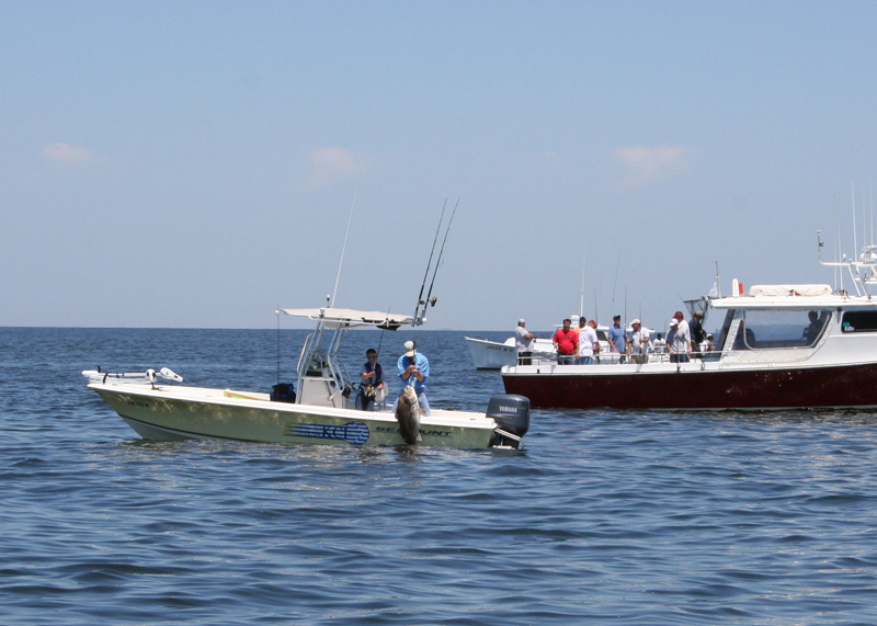 boats fishing in a crowd