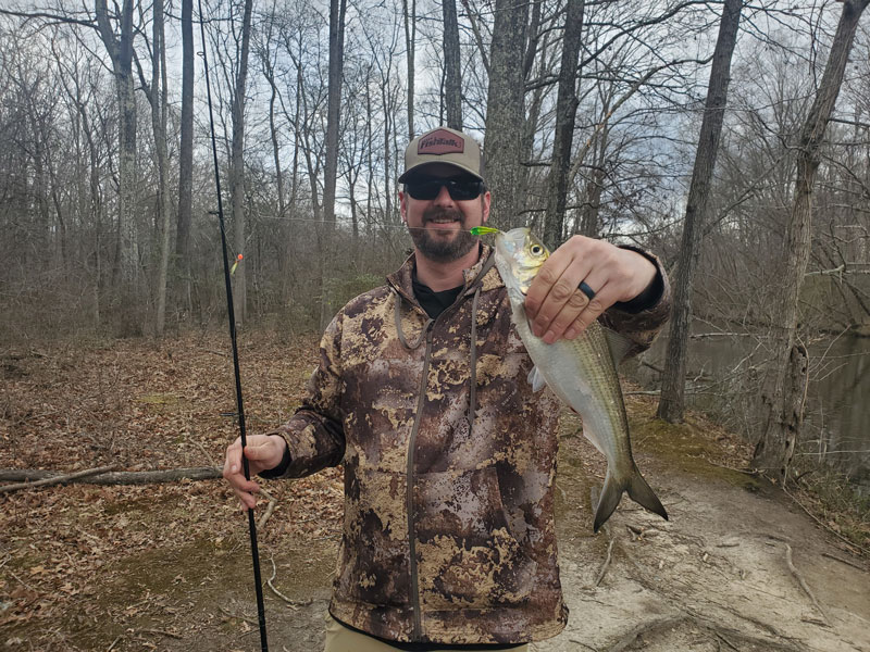 shad fishing in a small creek