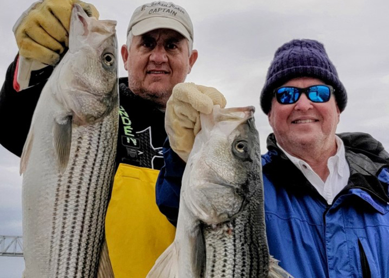 anglers with rockfish caught on the chesapeake bay