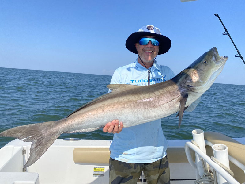 lower bay cobia fishing in august