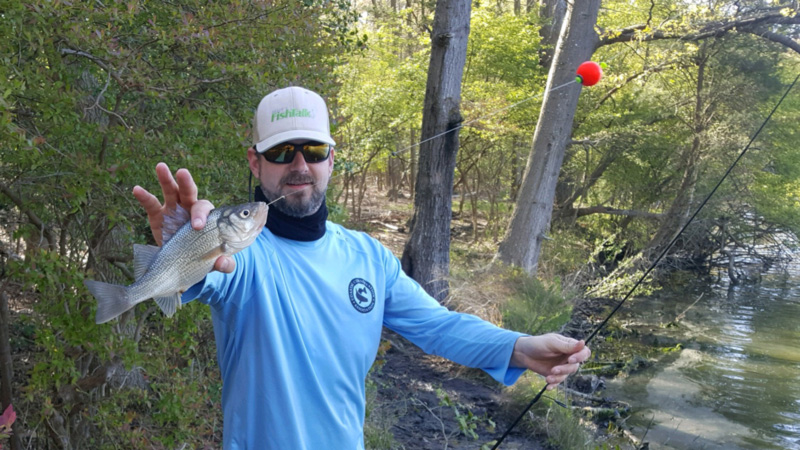 white perch fishing from shore