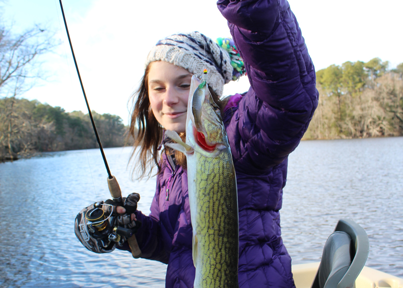 pickerel caught on a boat