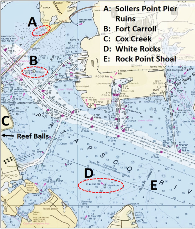 patapsco river fishing hotspots