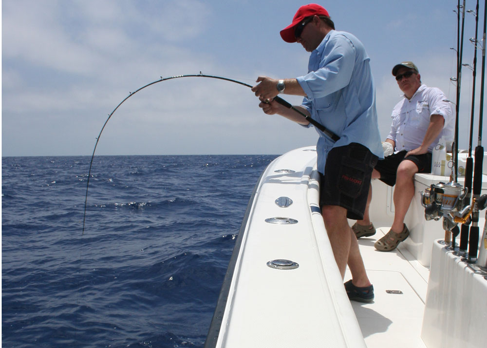 fishing reel with fish on the line