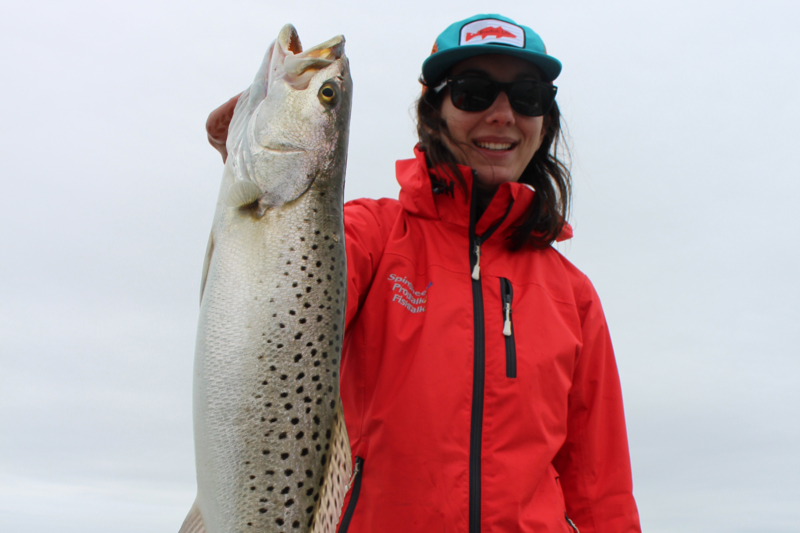 speckled sea trout in may