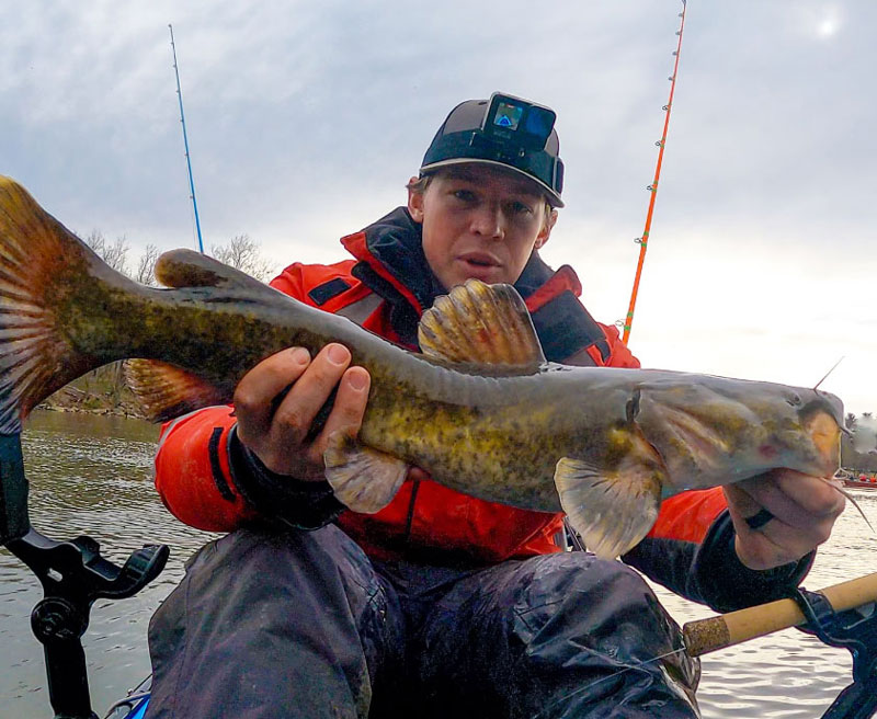 angler with a flathead catfish