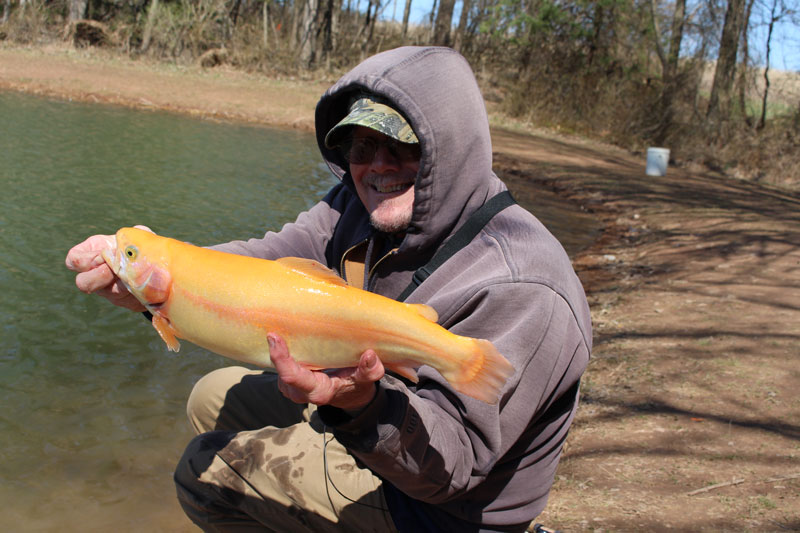 jim with a big golden trout