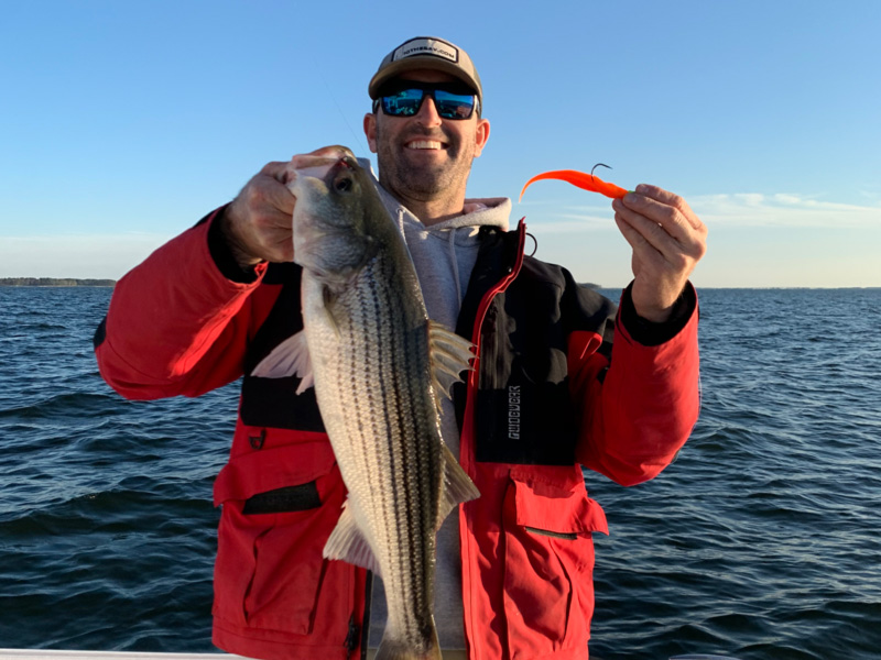 striper on florange lure