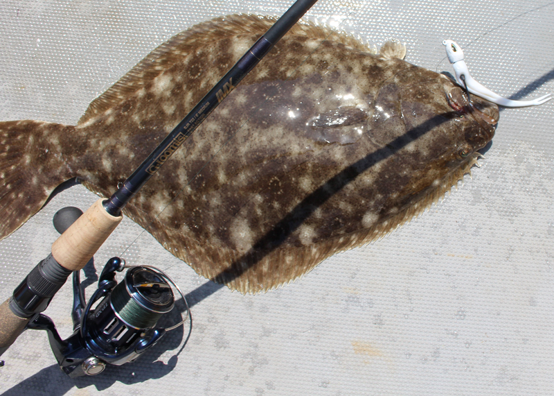 flounder fishing