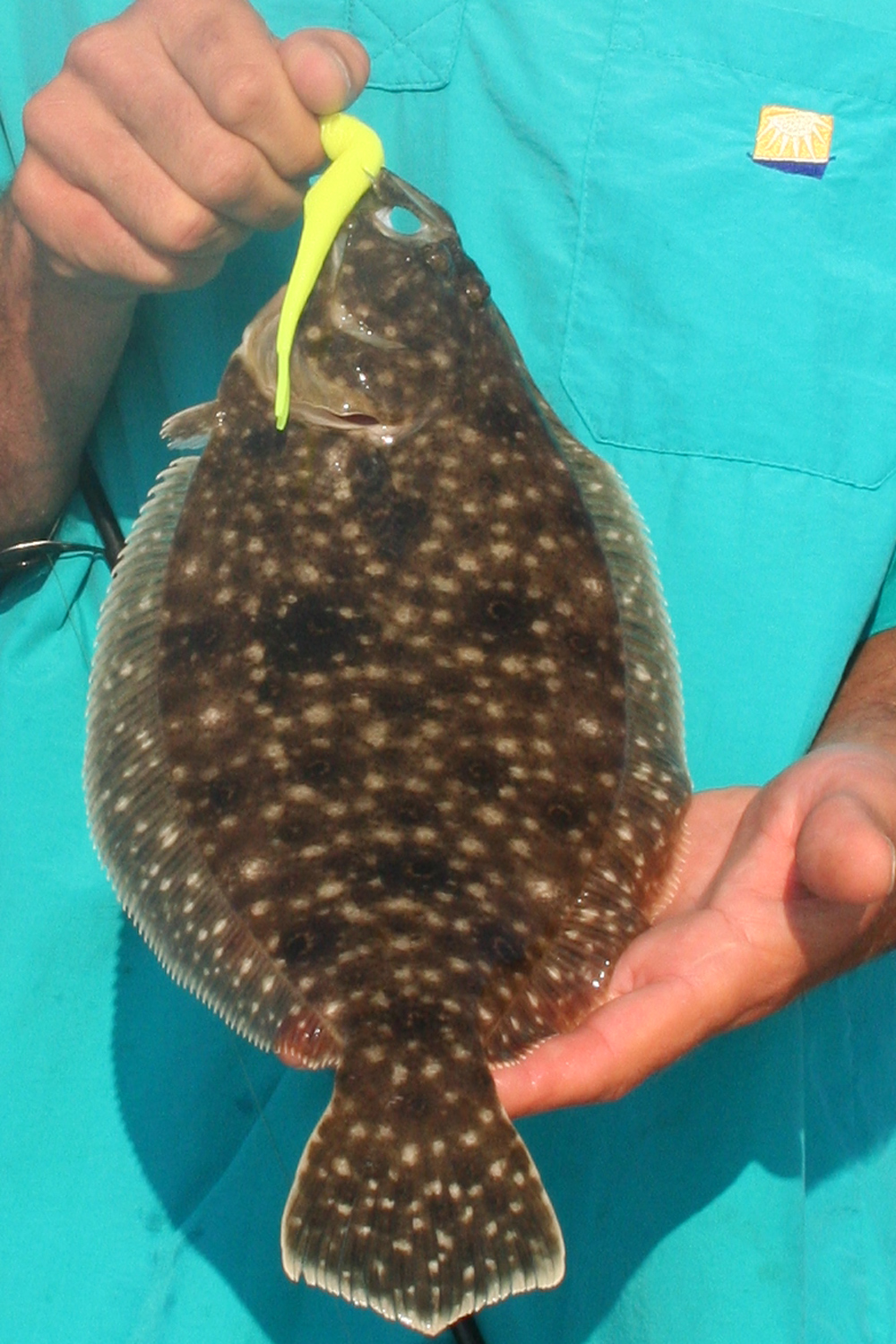 fishing for flounder with gulp