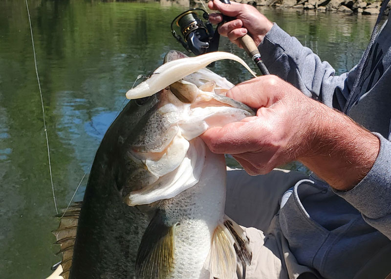Fluke Lures for Bass Fishing