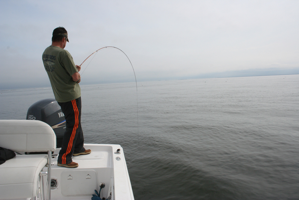 fly fishing in saltwater