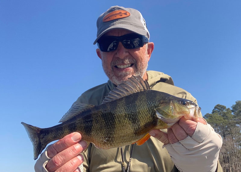 herb with a big yellow perch