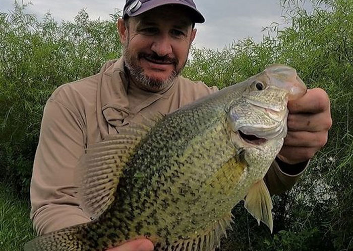 big crappie from a local lake