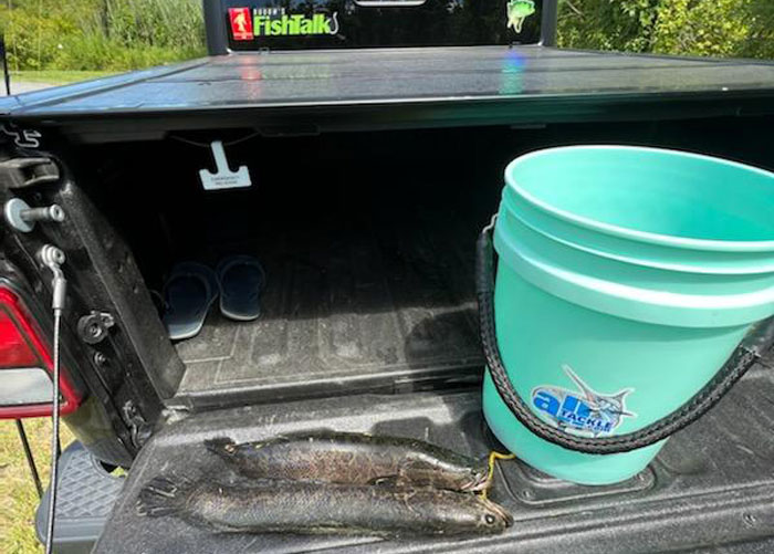 snakeheads on the tailgate