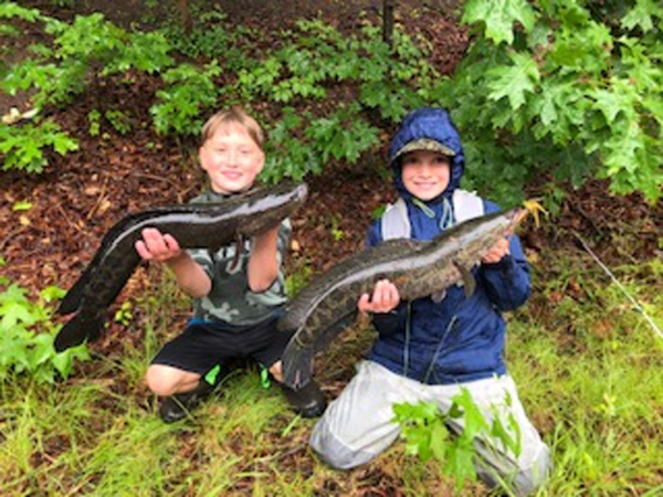 snakeheads kids caught