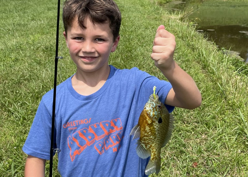 fishing in a pond