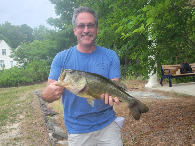 large mouth bass