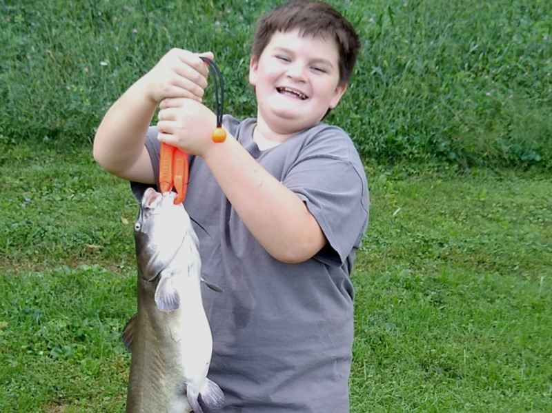 big catfish in a farm pond