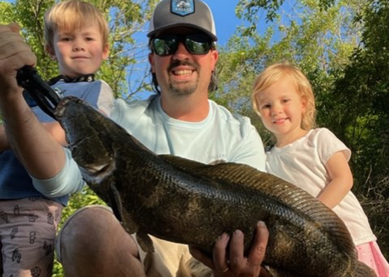 snakehead caught in a western side river