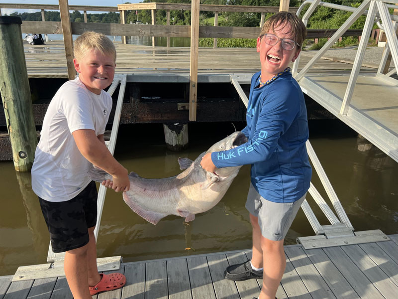 boys catch a huge catfish