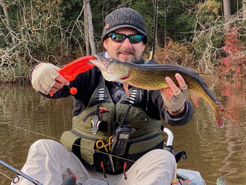 freshwater fishing report on pickerel