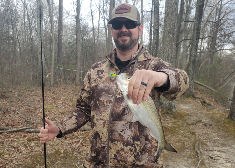 shad fishing mattawoman