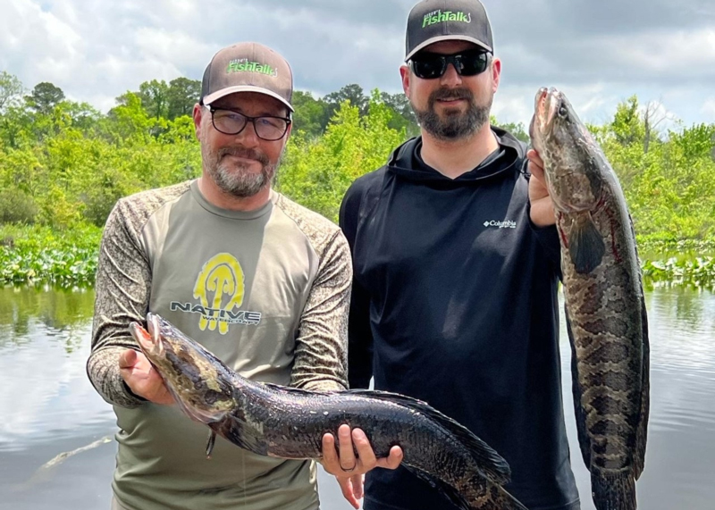 snakehead fishing freshwater