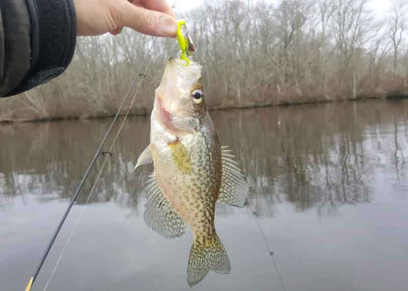 crappie fishing