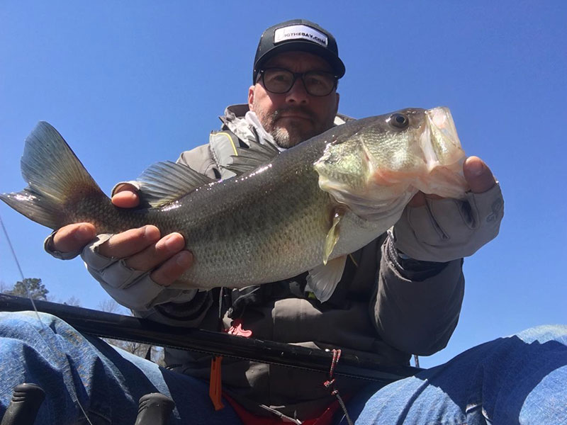 freshwater largemouth bass