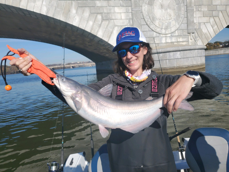freshwater fishing Potomac river